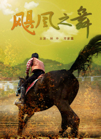 毛片导航
